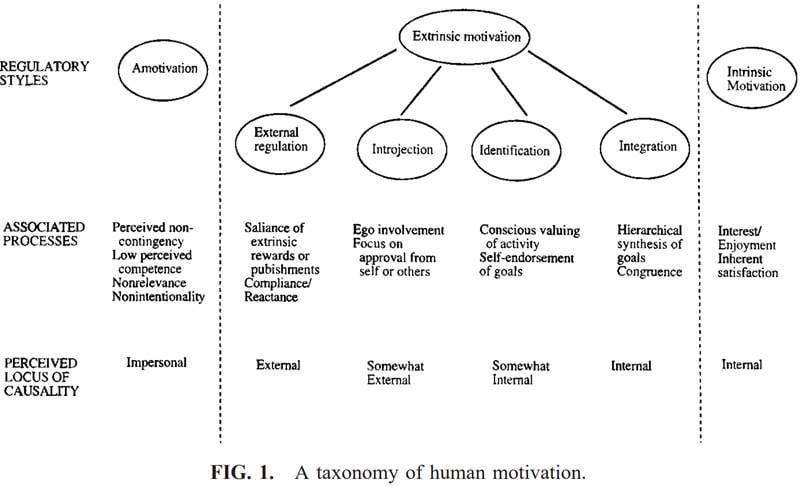 intrinsic vs extrinsic motivation essay